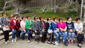 Ladies of the Wan Hua outing