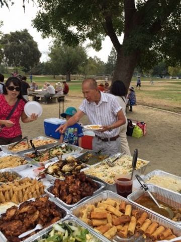 2017 picnic