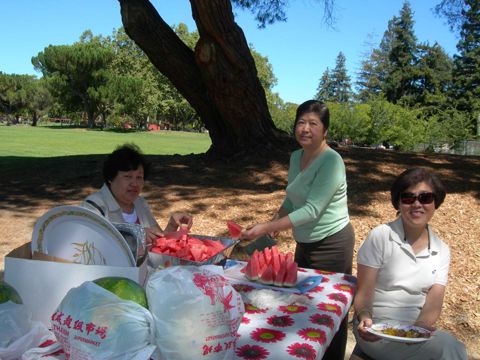 2007 picnic photo