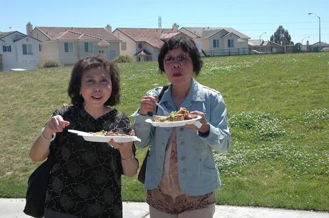 Picnic snapshot